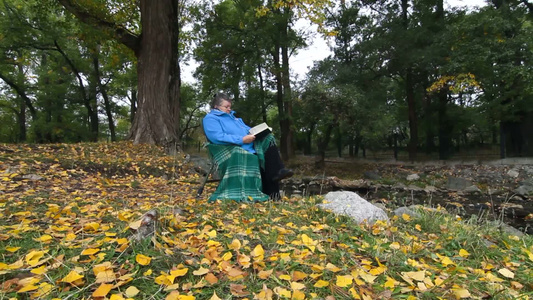 在秋树下的老年妇女享受着她的退休生活视频