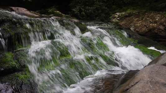 斯莫基山上的涓涓溪流视频