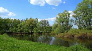 乌克兰小河的春天景观14秒视频