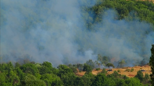 森林大火的烟雾25秒视频