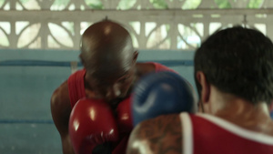 两个正在练习拳击的男人20秒视频