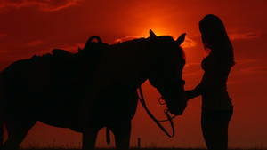 日落时女子抚摸马的剪影12秒视频