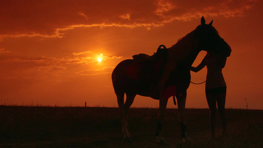 日落时女子和马匹的剪影[妙龄女子]视频