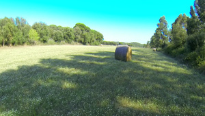 草地上的稻草团27秒视频