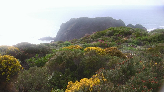 葡萄牙田园自然风光视频