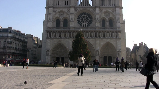 巴黎的大教堂视频