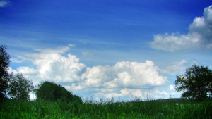 蓝天上奔腾的云朵和草延时15秒视频
