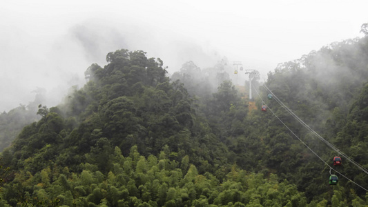 雨林中穿过薄雾的缆车延时视频