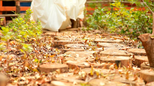 秋天公园里穿着白色婚纱鞋的新娘视频