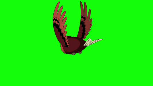 在绿色屏幕上棕色的飞鸟循环运动动画视频