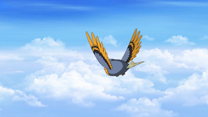 小鸟在云中飞翔12秒视频