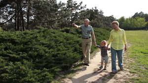 公园里老年人携带孙子散步游玩25秒视频