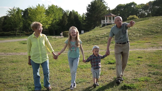 祖父母牵着孙子们的手在公园里散步视频