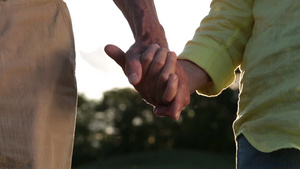 亲密浪漫的老年夫妇牵着手面对日落20秒视频
