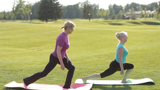 成年女性穿着运动服在公园练瑜伽视频