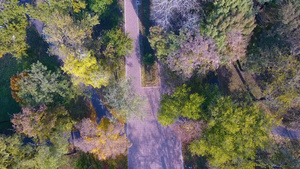 城市公园秋季自然风光的鸟瞰图29秒视频