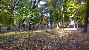 城市公园秋季自然风光的空中镜头28秒视频