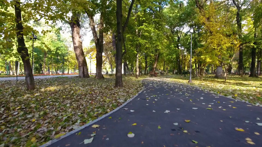 公园秋季自然风光视频