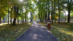 城市公园秋季自然风光29秒视频