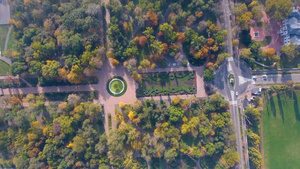 城市公园秋季自然风光的鸟瞰图11秒视频