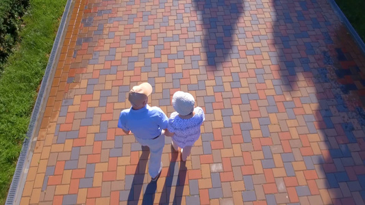 夏季公园里一对老年夫妇牵手在户外散步视频