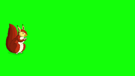 动画片段可爱的欧亚红松鼠在绿色屏幕上跑视频