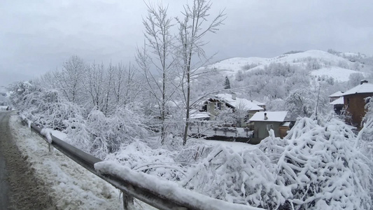 冬天路边白雪覆盖的森林[玉树琼枝]视频