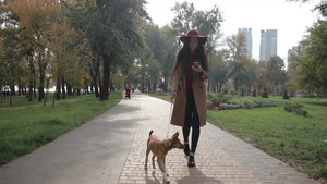 时尚女人在公园遛狗26秒视频