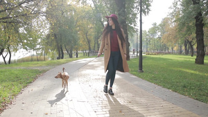 年轻女人在秋天的公园里和小狗散步24秒视频