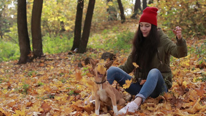 欢快的女孩和她可爱的小狗在秋季公园玩耍34秒视频