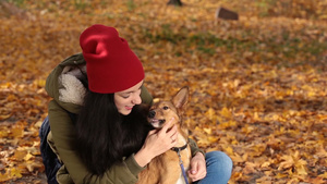 快乐时髦的女孩坐在秋天的公园里抚摸她可爱的小狗25秒视频