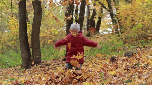在秋天的公园里玩耍的可爱的小男孩视频