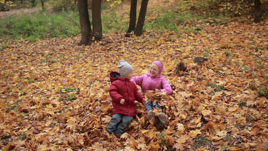 在公园里的一堆秋叶里玩耍的孩子们视频