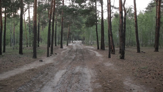  空旷的土乡村道路穿过树林在美丽的景观背景下慢动作视频