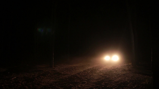 汽车夜间在森林里行驶视频