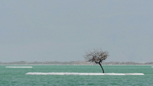 死海清澈的湖面14秒视频