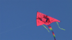 风筝在天空中飞翔19秒视频