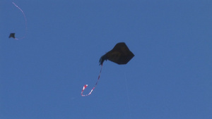 风筝在天空中飞翔11秒视频
