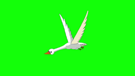隔离在绿色屏幕上在飞翔的白天鹅动画循环运动图形视频