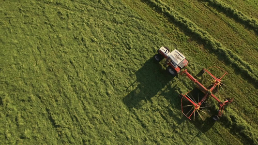 拖拉机收集干草在山上田地里视频