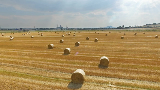 在农村用干草捆收割麦田的鸟瞰图视频