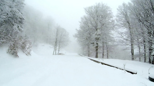冬天山上有一条空雪覆盖的道路两边有树视频