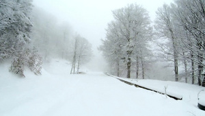 冬天山上有一条空雪覆盖的道路两边有树10秒视频