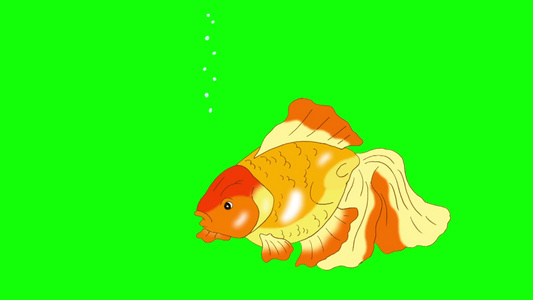 金鱼漂浮在水族馆里动画循环运动图形视频