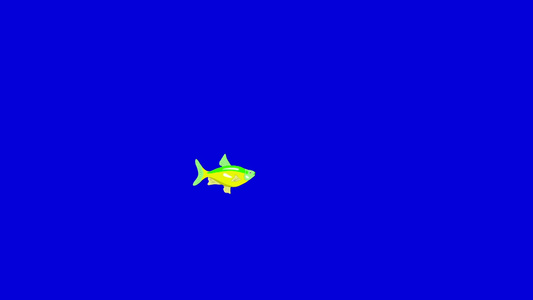 绿色黄色的小水族馆鱼漂浮在水族馆里动画循环运动图形隔离在蓝色屏幕上视频