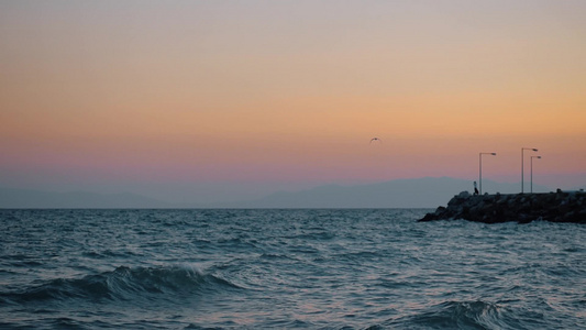 傍晚的海岸码头和孤独的海鸥在空中飞翔视频