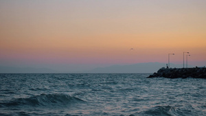 傍晚的海岸码头和孤独的海鸥在空中飞翔17秒视频