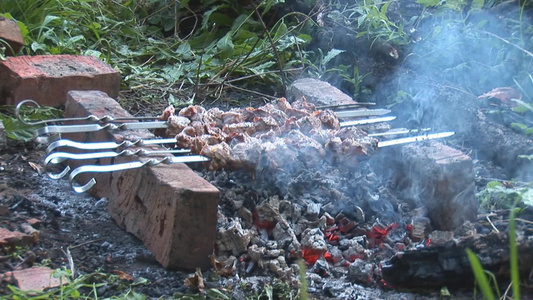 户外野餐烤肉串视频