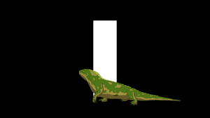 动画动物学英语字母I阿尔法哑光运动图形卡通鬣蜥在一个字母i的前景15秒视频