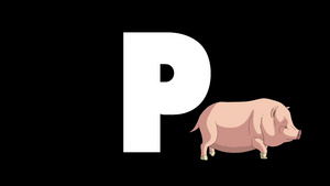 卡通猪在字母p的前景15秒视频
